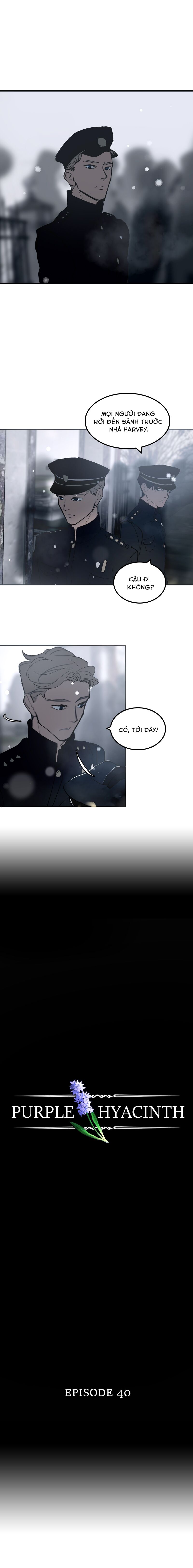 Hoa Lục Bình Tím Chap 40 - Next Chap 41