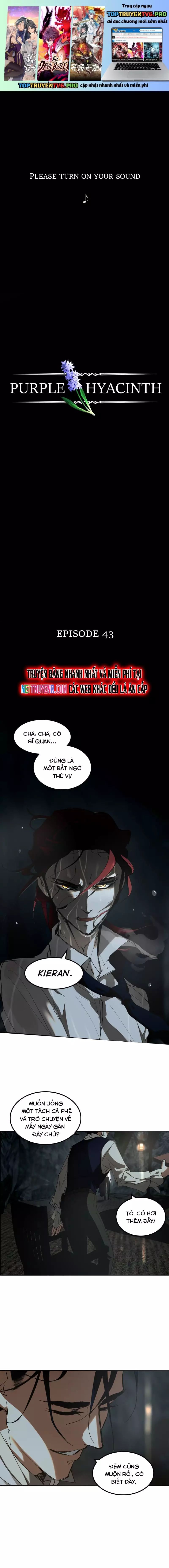 Hoa Lục Bình Tím Chap 43 - Next Chap 44