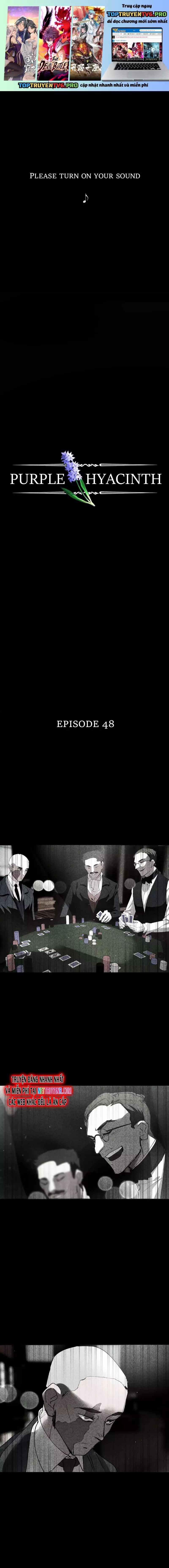 Hoa Lục Bình Tím Chap 48 - Next Chap 49