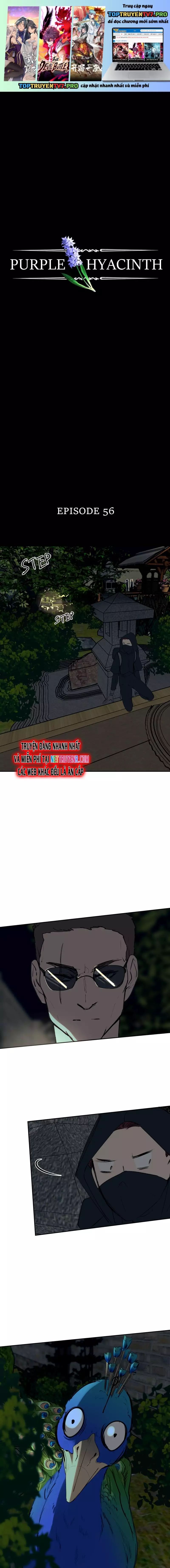 Hoa Lục Bình Tím Chap 56 - Next Chap 57