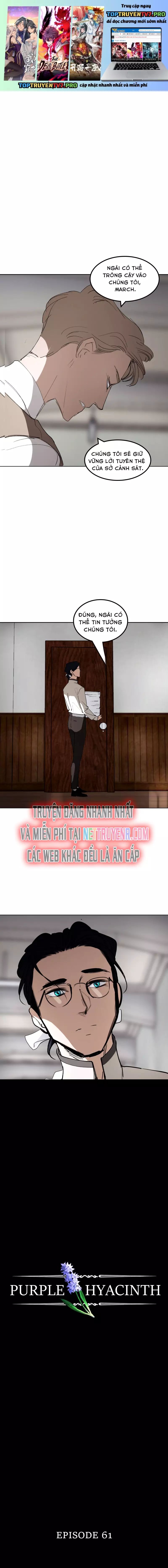 Hoa Lục Bình Tím Chap 61 - Next Chap 62