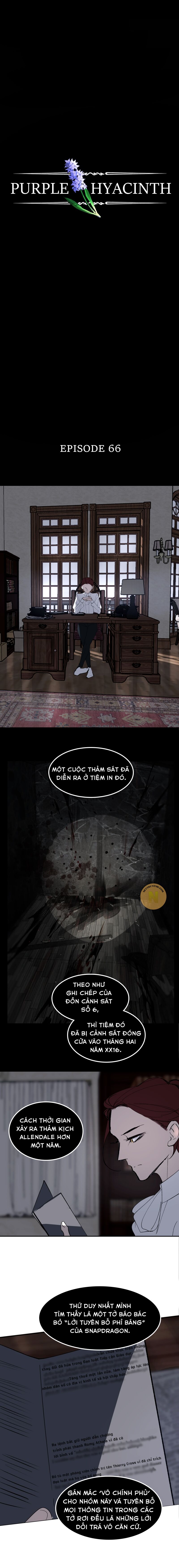 Hoa Lục Bình Tím Chap 66 - Next Chap 67