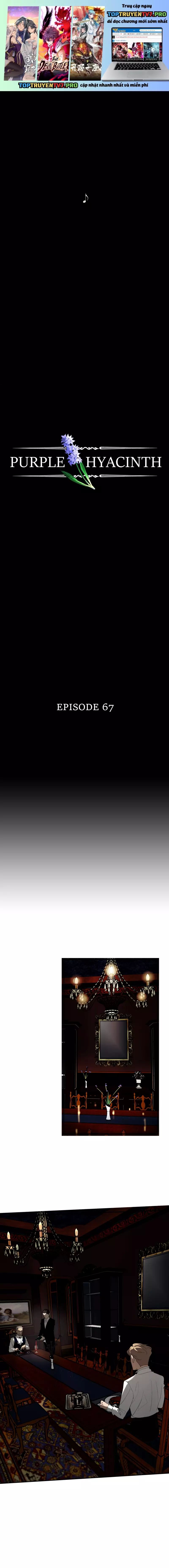Hoa Lục Bình Tím Chap 67 - Next Chap 68