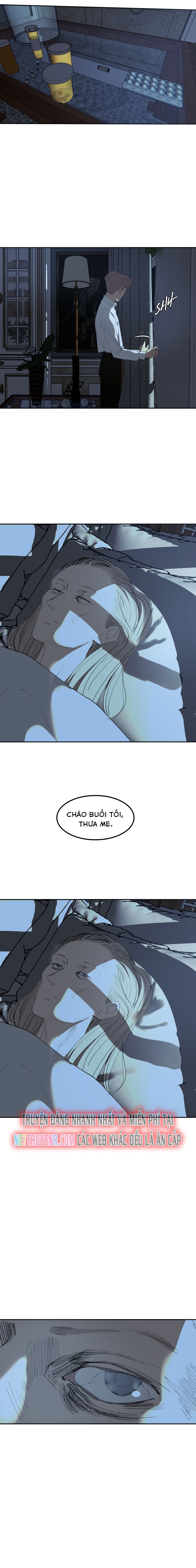 Hoa Lục Bình Tím Chap 671 - Next Chap 672