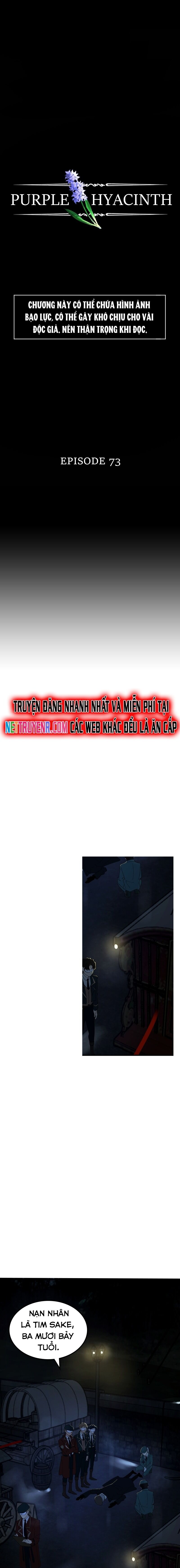 Hoa Lục Bình Tím Chap 73 - Next Chap 74