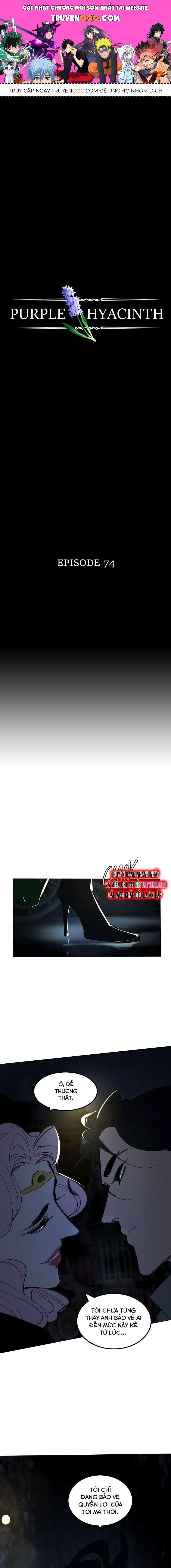 Hoa Lục Bình Tím Chap 74 - Next Chap 75