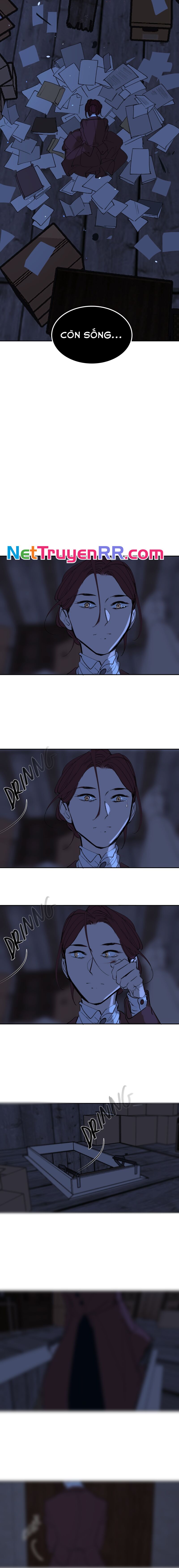 Hoa Lục Bình Tím Chap 783 - Next Chap 784