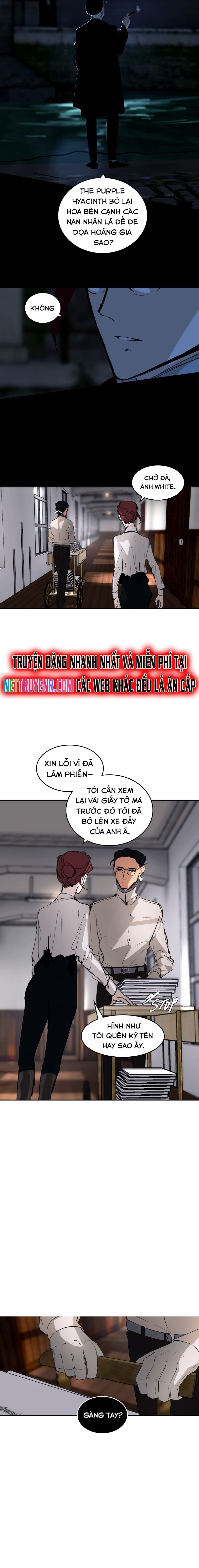 Hoa Lục Bình Tím Chap 921 - Next Chap 922