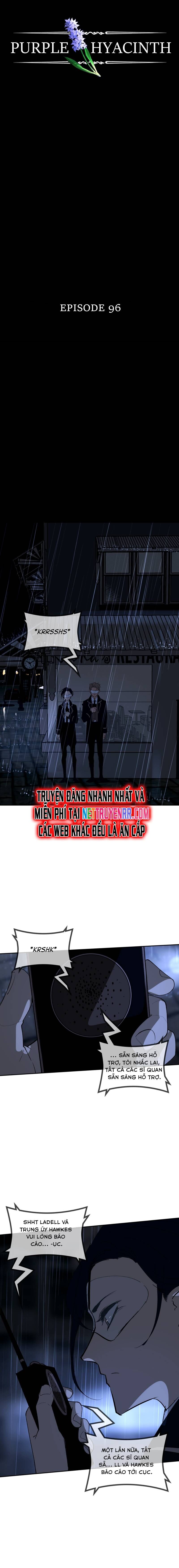 Hoa Lục Bình Tím Chap 96 - Next Chap 97
