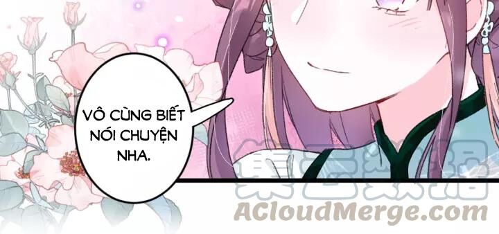 Hoa Nhan Sách Chap 152 - Next Chap 153