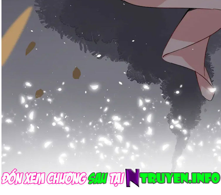 Hoa Nhan Sách Chap 204 - Next Chap 205