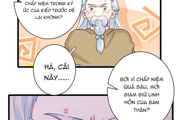 Hoa Nhan Sách Chap 206 - Next Chap 207