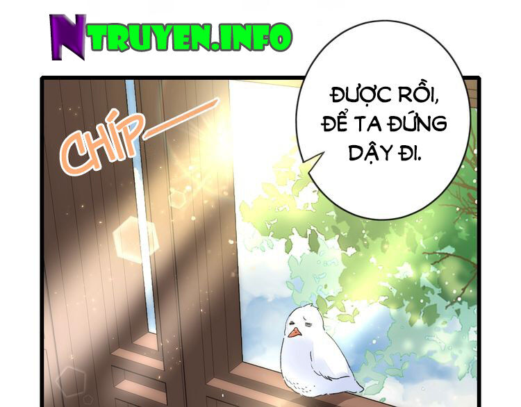 Hoa Nhan Sách Chap 982 - Next Chap 983