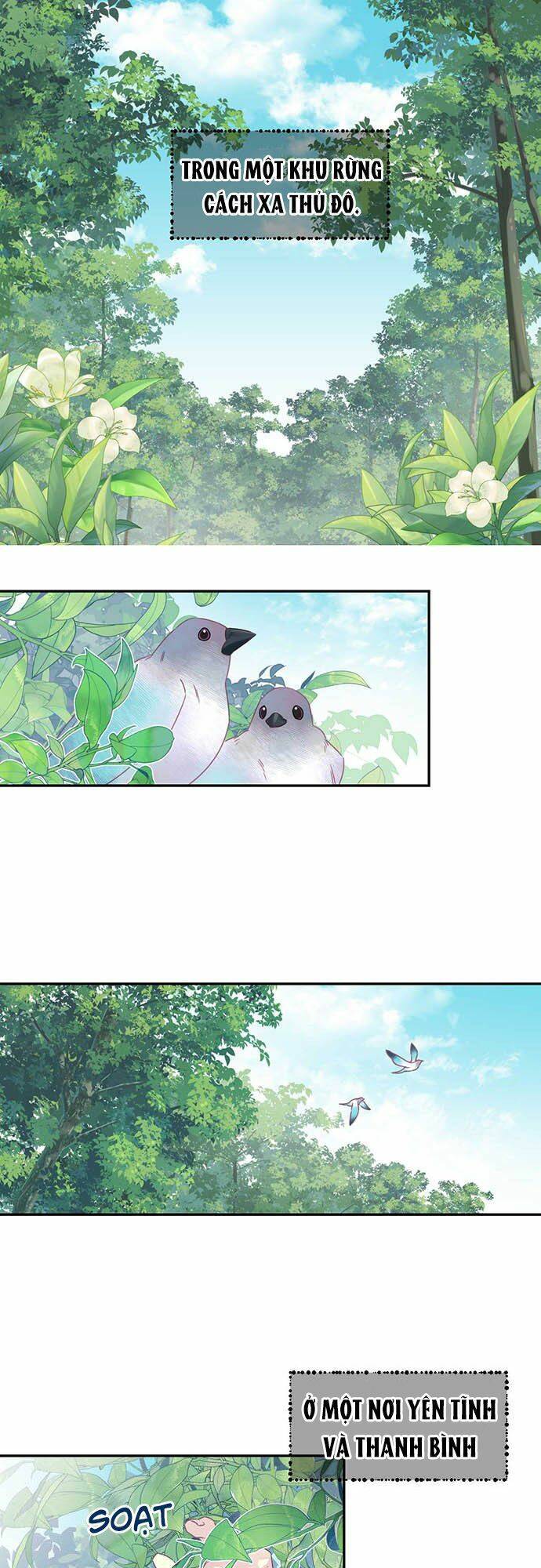 Hóa Ra Đó Chính Là Tình Yêu, Quỷ Vương! Chap 1 - Next Chap 2