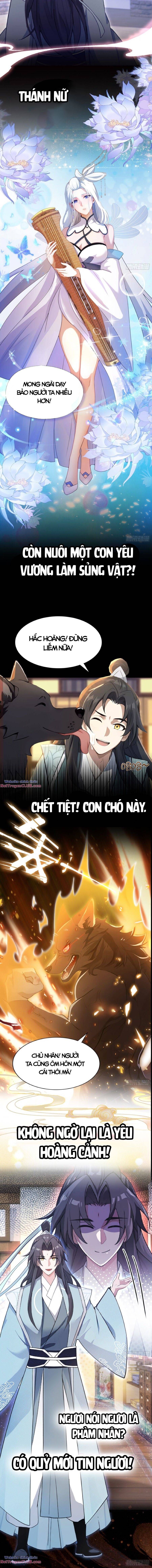Hoá Ra Ta Đã Vô Địch Từ Lâu Chap 0 - Next Chap 1