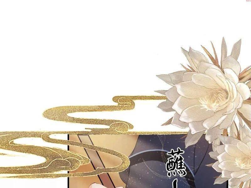 Hoá Ra Ta Đã Vô Địch Từ Lâu Chap 155 - Next Chap 156