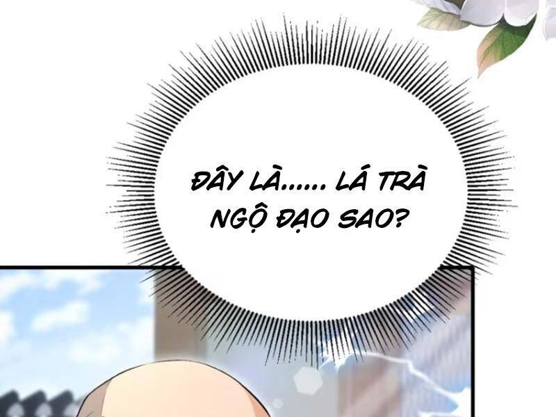 Hoá Ra Ta Đã Vô Địch Từ Lâu Chap 204 - Next Chap 205