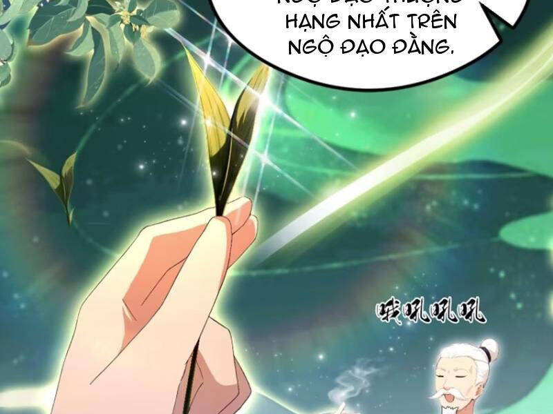 Hoá Ra Ta Đã Vô Địch Từ Lâu Chap 204 - Next Chap 205