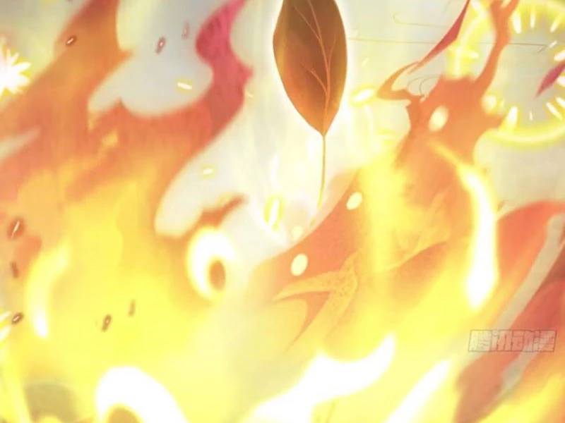 Hoá Ra Ta Đã Vô Địch Từ Lâu Chap 205 - Next Chap 206
