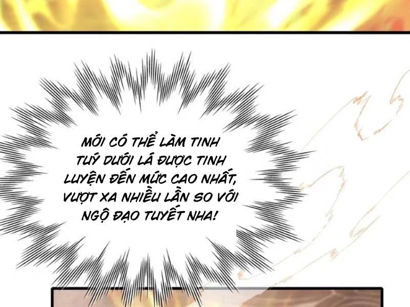 Hoá Ra Ta Đã Vô Địch Từ Lâu Chap 205 - Next Chap 206