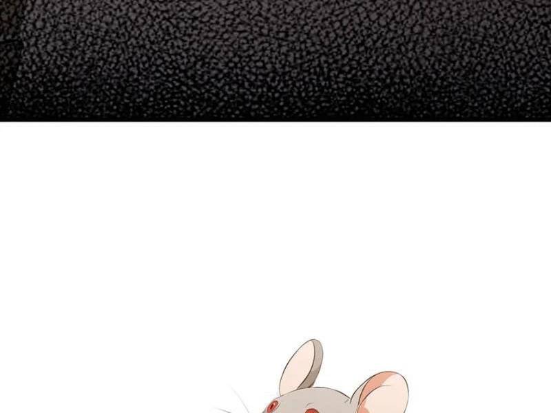 Hoá Ra Ta Đã Vô Địch Từ Lâu Chap 215 - Next Chap 216