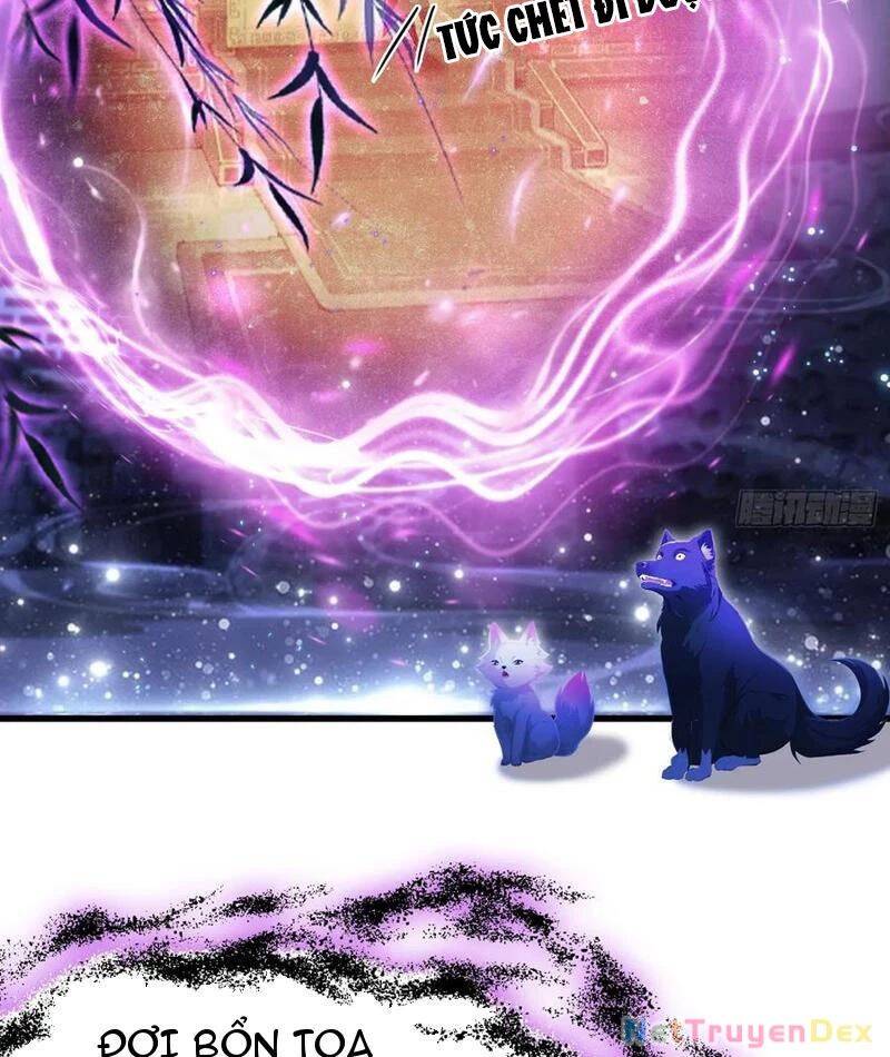 Hoá Ra Ta Đã Vô Địch Từ Lâu Chap 224 - Next Chap 225