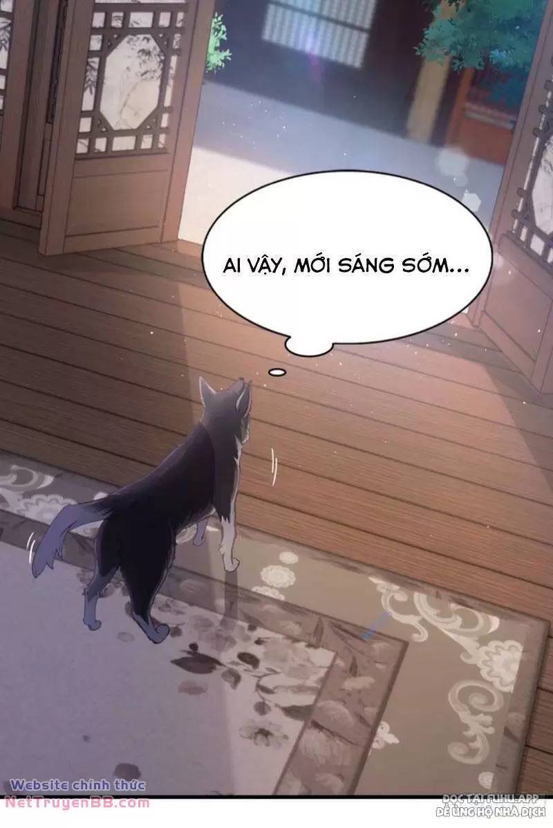 Hoá Ra Ta Đã Vô Địch Từ Lâu Chap 23 - Next Chap 24