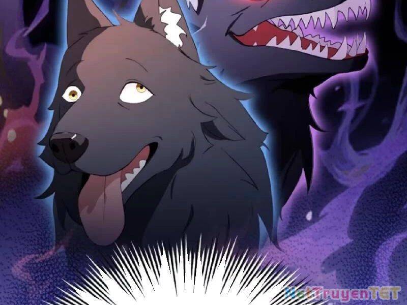 Hoá Ra Ta Đã Vô Địch Từ Lâu Chap 234 - Next Chap 235
