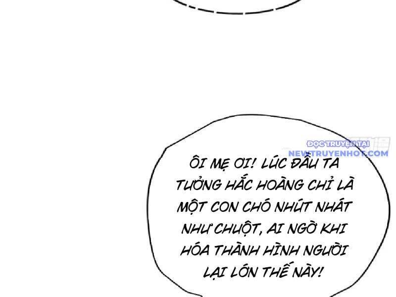 Hoá Ra Ta Đã Vô Địch Từ Lâu Chap 235 - Next Chap 236
