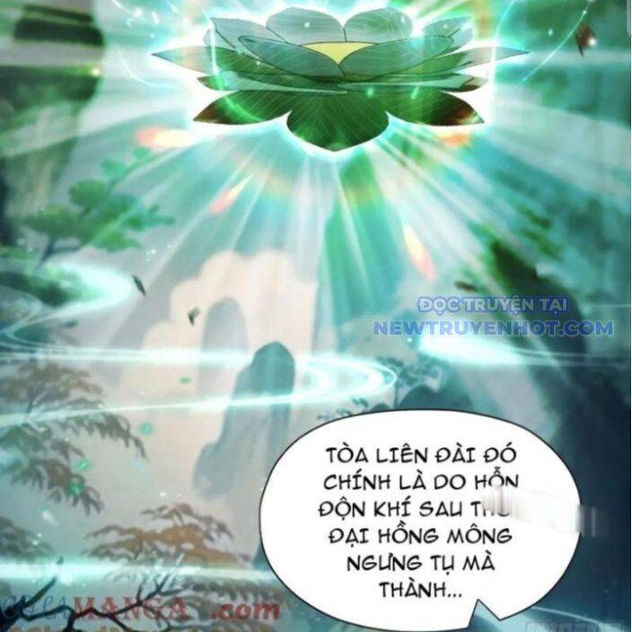 Hoá Ra Ta Đã Vô Địch Từ Lâu Chap 238 - Next Chap 239