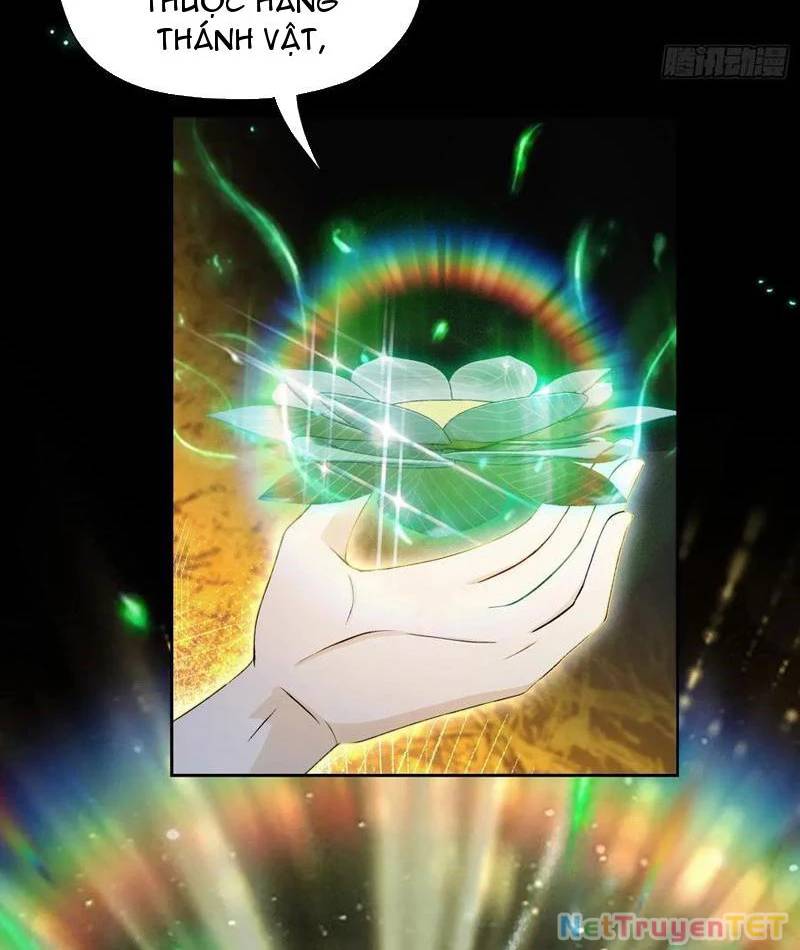 Hoá Ra Ta Đã Vô Địch Từ Lâu Chap 244 - Next Chap 245