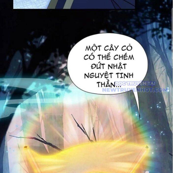 Hoá Ra Ta Đã Vô Địch Từ Lâu Chap 246 - Next Chap 247
