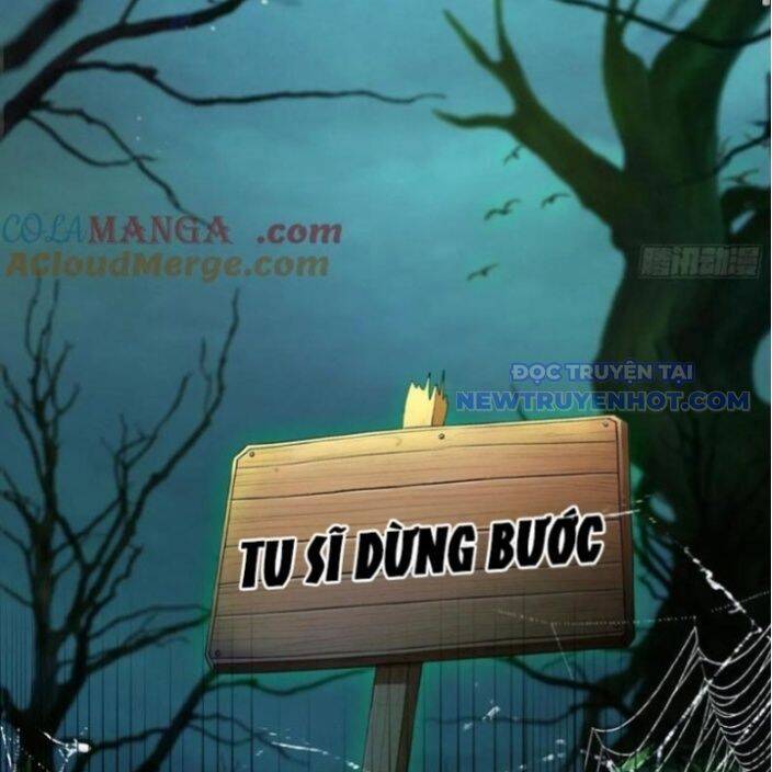 Hoá Ra Ta Đã Vô Địch Từ Lâu Chap 246 - Next Chap 247