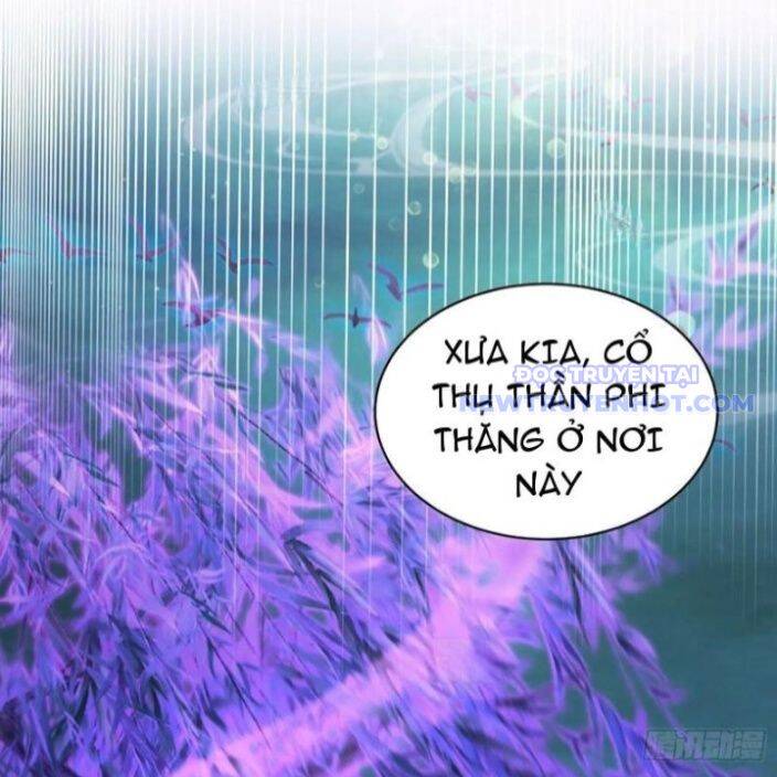 Hoá Ra Ta Đã Vô Địch Từ Lâu Chap 247 - Next Chap 248