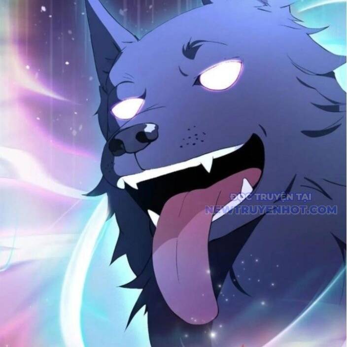 Hoá Ra Ta Đã Vô Địch Từ Lâu Chap 248 - Next Chap 249