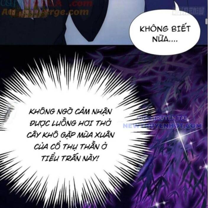 Hoá Ra Ta Đã Vô Địch Từ Lâu Chap 248 - Next Chap 249