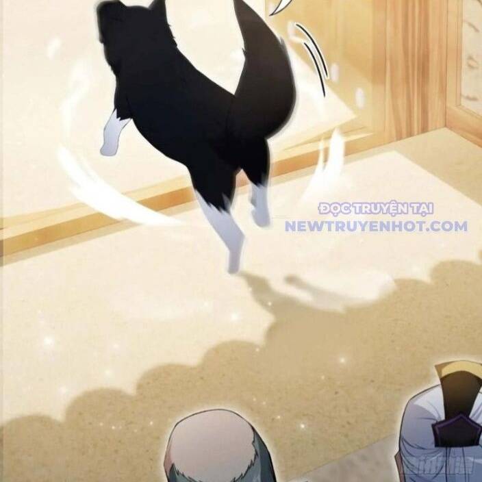 Hoá Ra Ta Đã Vô Địch Từ Lâu Chap 249 - Next Chap 250