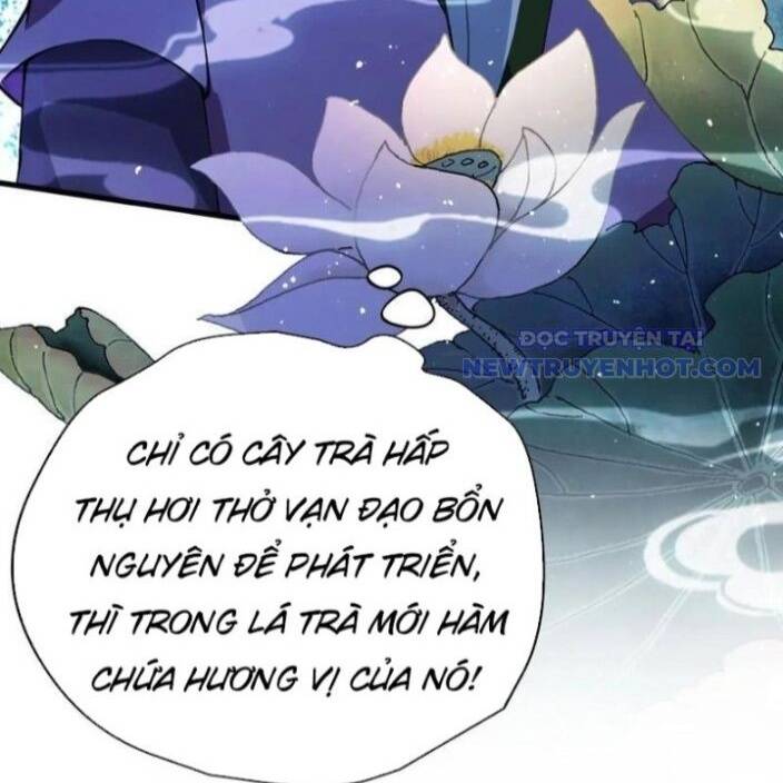 Hoá Ra Ta Đã Vô Địch Từ Lâu Chap 249 - Next Chap 250