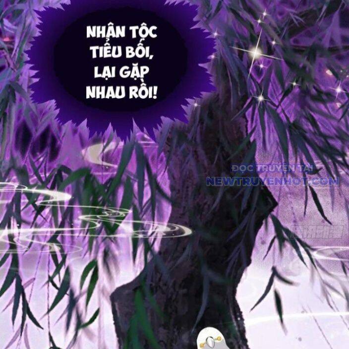 Hoá Ra Ta Đã Vô Địch Từ Lâu Chap 250 - Next Chap 251