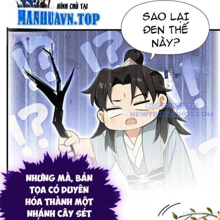 Hoá Ra Ta Đã Vô Địch Từ Lâu Chap 250 - Next Chap 251