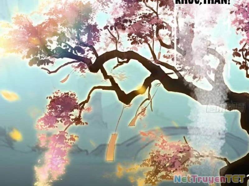 Hoá Ra Ta Đã Vô Địch Từ Lâu Chap 251 - Next Chap 252
