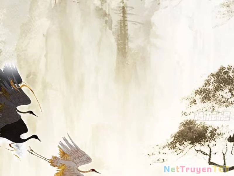 Hoá Ra Ta Đã Vô Địch Từ Lâu Chap 251 - Next Chap 252