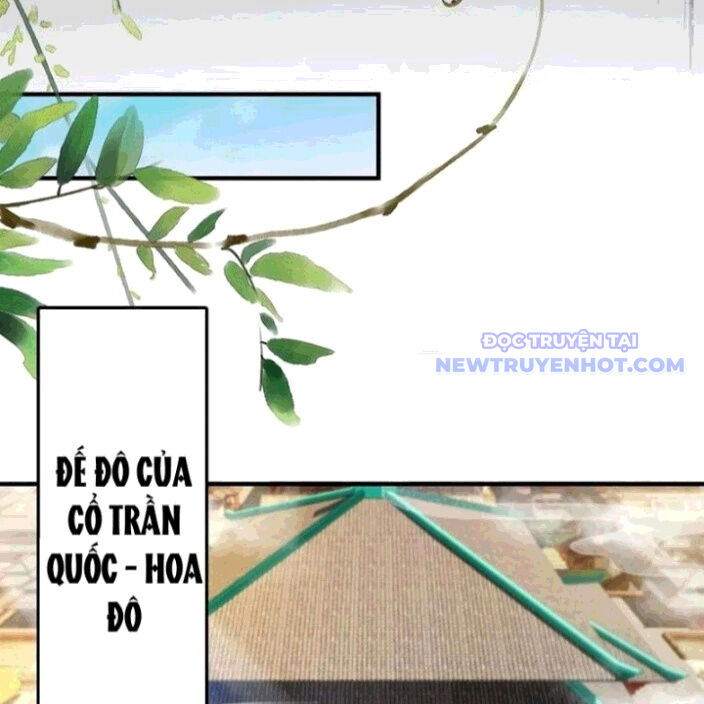 Hoá Ra Ta Đã Vô Địch Từ Lâu Chap 260 - Next Chap 261