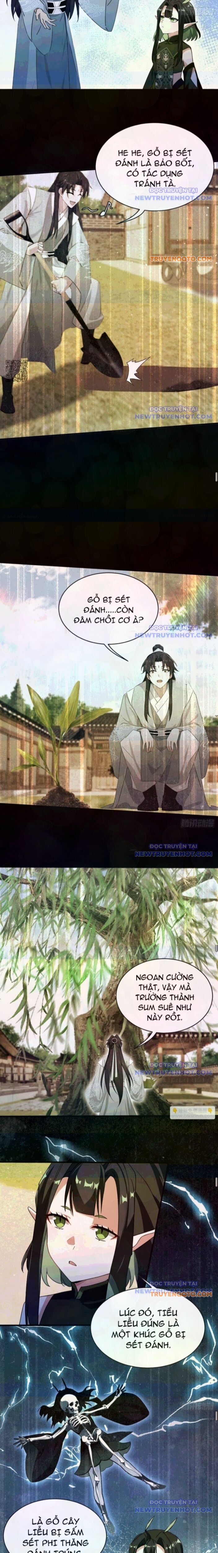 Hoá Ra Ta Đã Vô Địch Từ Lâu Chap 265 - Next Chap 266
