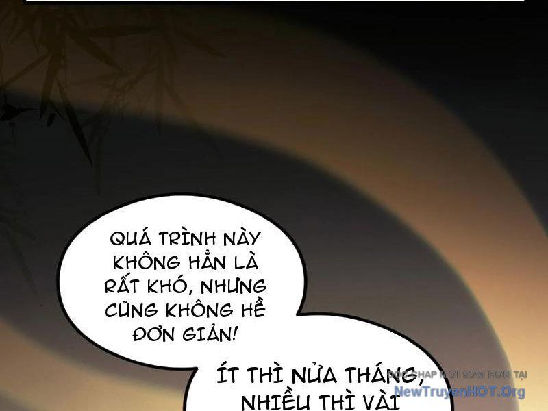 Hoá Ra Ta Đã Vô Địch Từ Lâu Chap 317 - Next Chap 318