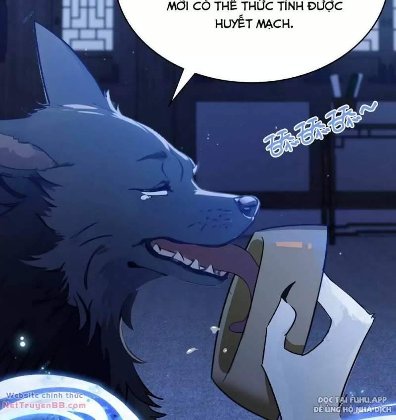 Hoá Ra Ta Đã Vô Địch Từ Lâu Chap 6 - Next Chap 7