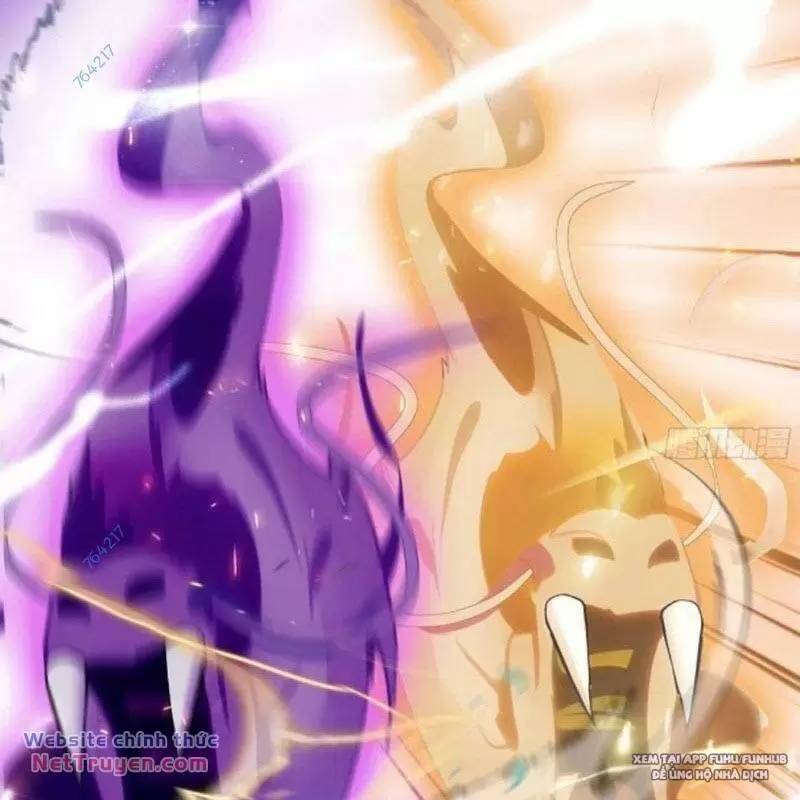 Hoá Ra Ta Đã Vô Địch Từ Lâu Chap 74 - Next Chap 75