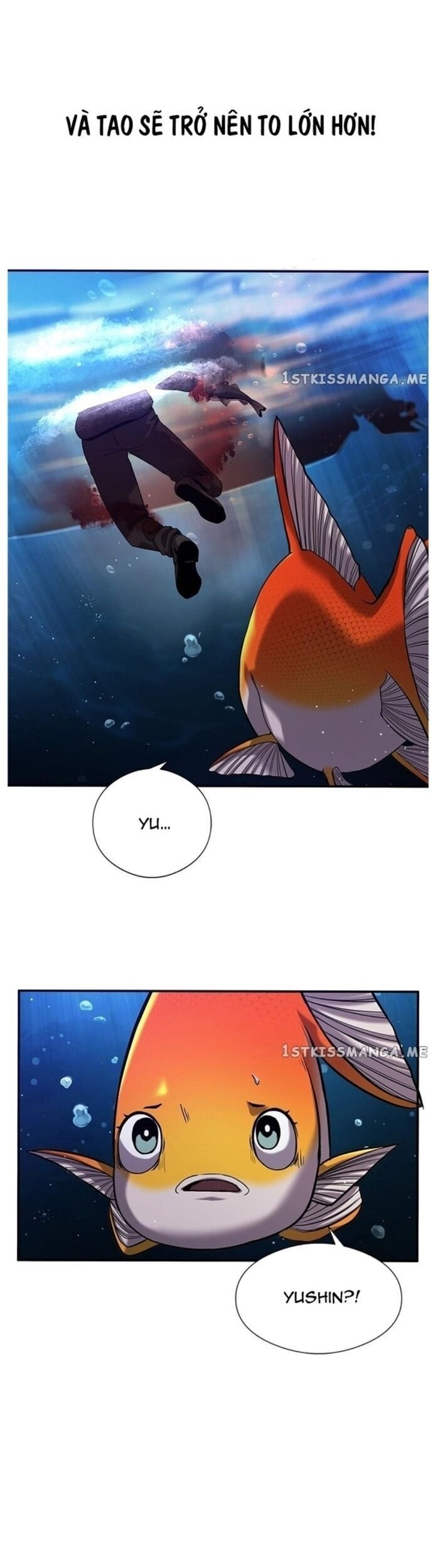 Hoá Thân Thành Cá Chap 37 - Next Chap 38