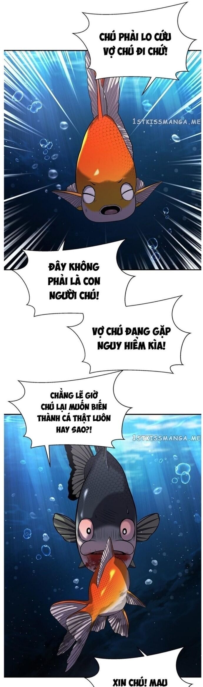 Hoá Thân Thành Cá Chap 37 - Next Chap 38