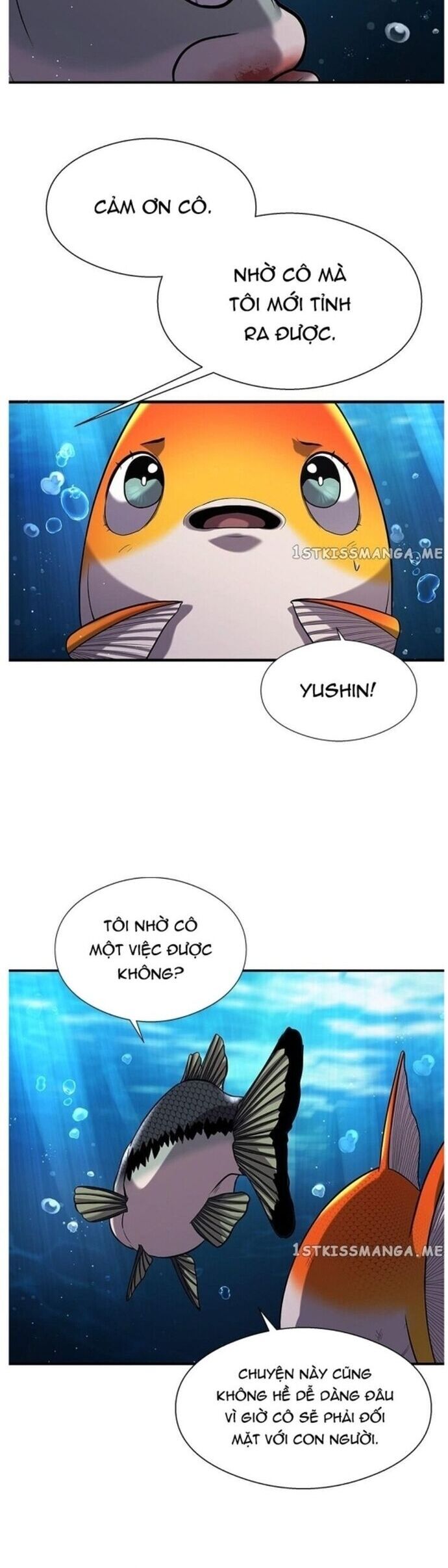Hoá Thân Thành Cá Chap 37 - Next Chap 38